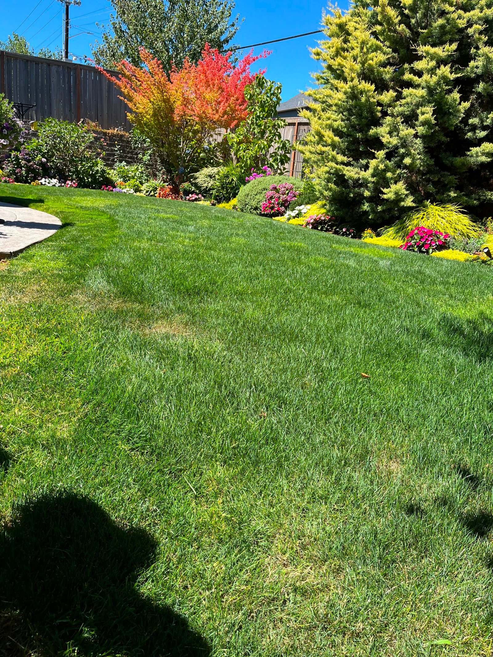 Garden Summer, Spring Lawn Care