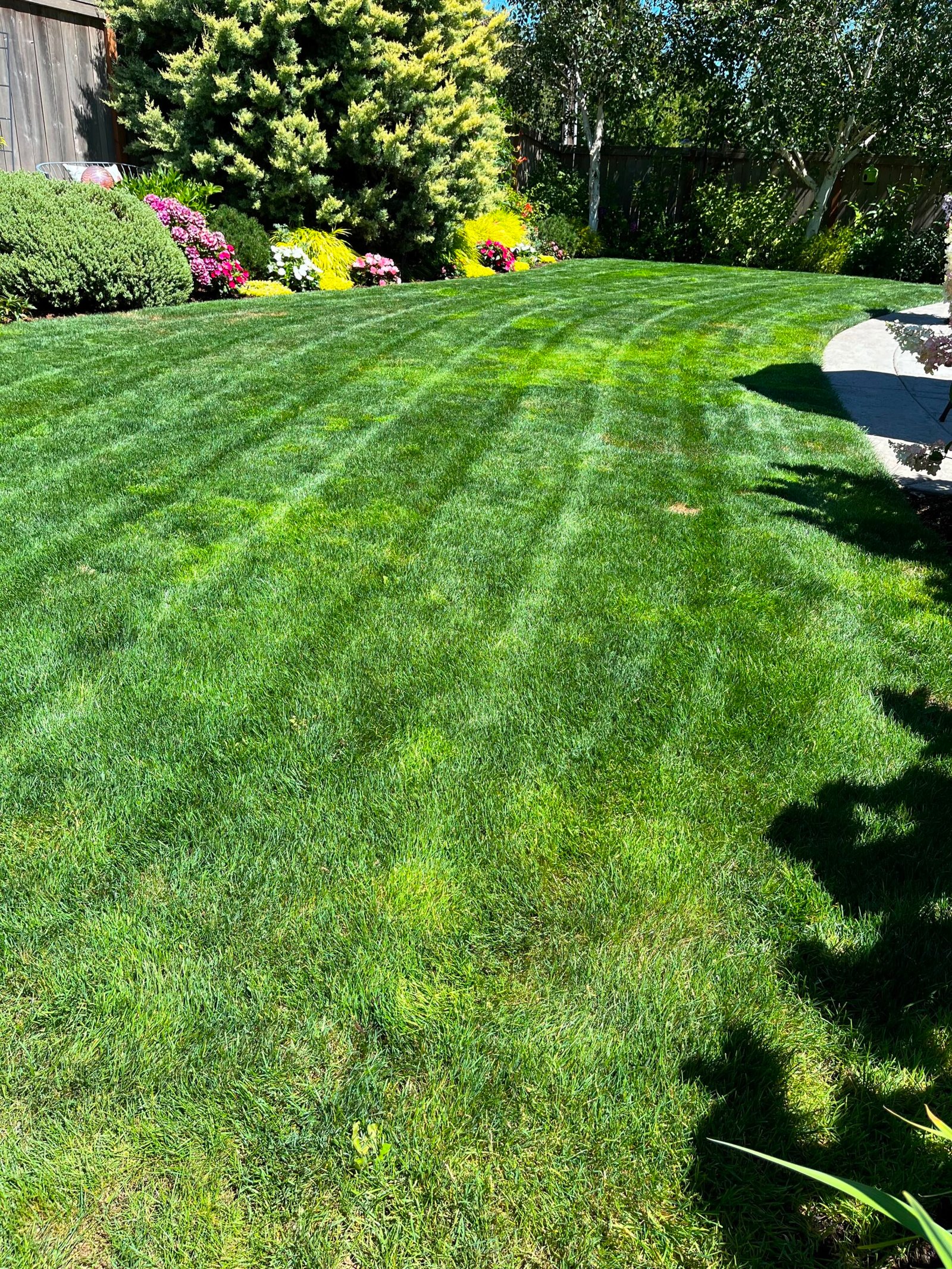 Garde Summer Yard Lawn Maintenance
