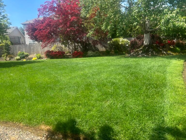 Maintenance Grass