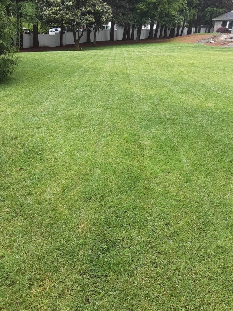 Lawn Mowed
