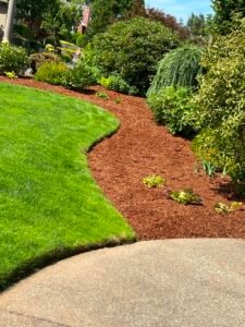 Lawn mowed Green Side Salem